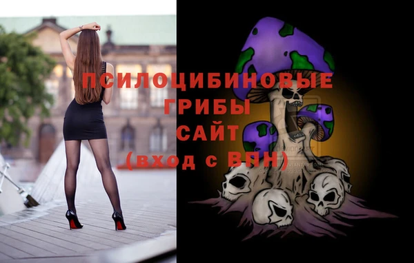 хмурый Богородицк