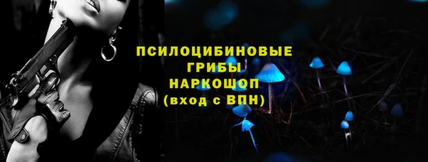PSILOCYBIN Богданович