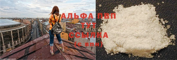 хмурый Богородицк