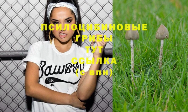 PSILOCYBIN Богданович
