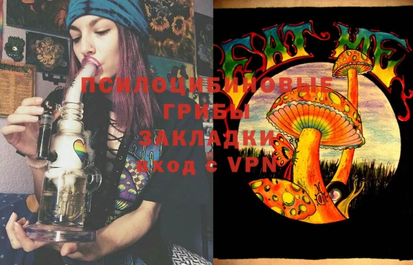 PSILOCYBIN Богданович