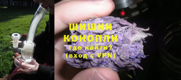 PSILOCYBIN Богданович