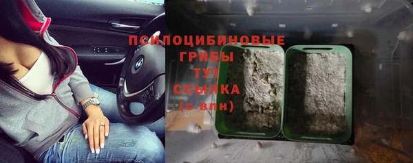 хмурый Богородицк