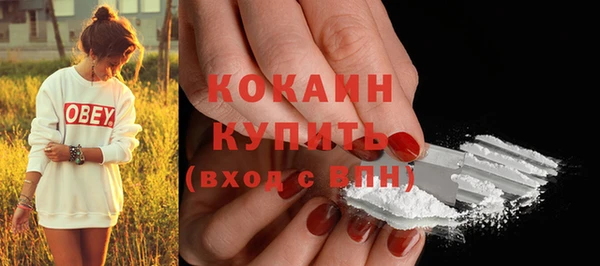 PSILOCYBIN Богданович