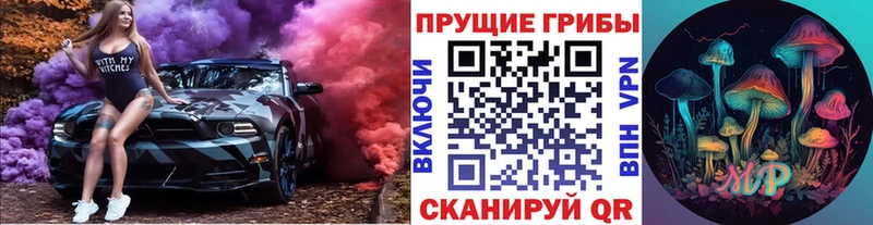 Галлюциногенные грибы Psilocybine cubensis  дарнет шоп  Верещагино 